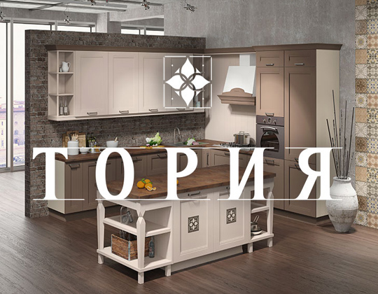 Кухня Тория